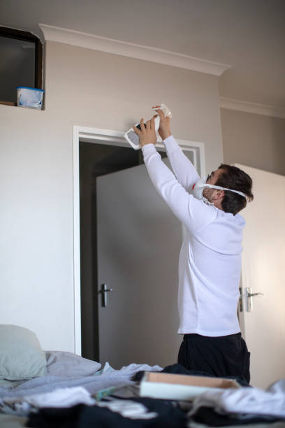Best Mold Damage Restoration  in Kings Grant, NC