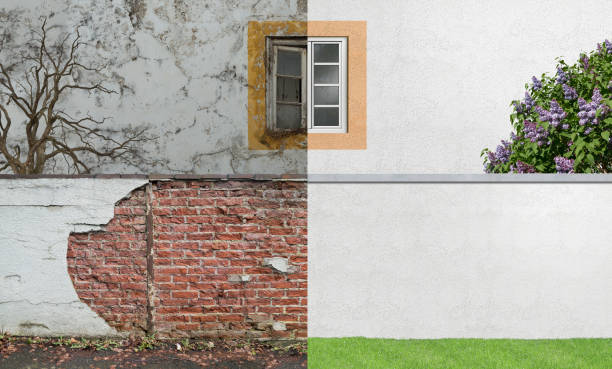 Reliable Kings Grant, NC Mold Removal Solutions