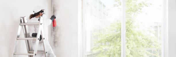 Best Mold Remediation for Rental Properties  in Kings Grant, NC